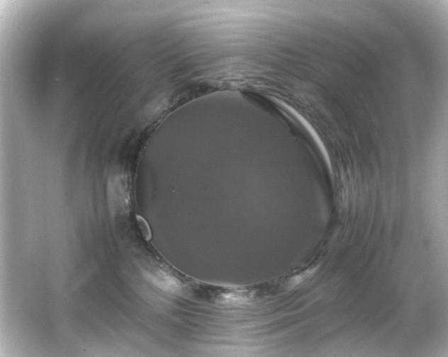 X0000066540232200603201434