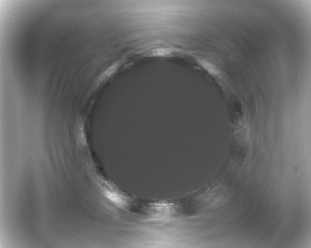 X0000066540233200603201434