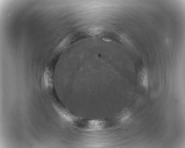 X0000066540234200603201434