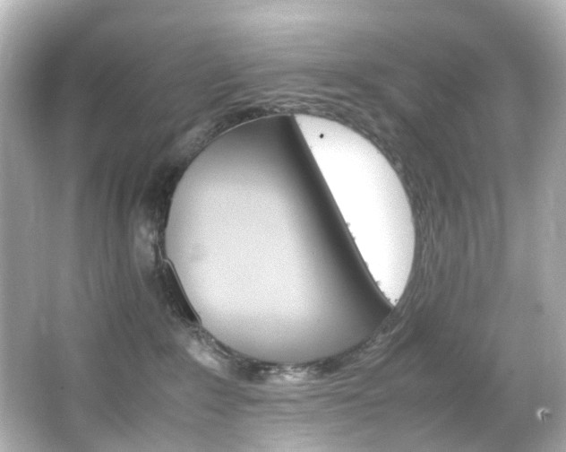 X0000066540235200603201434