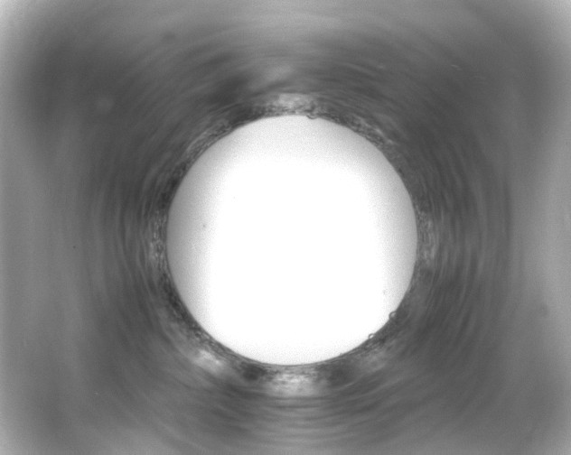 X0000066540236200603201434