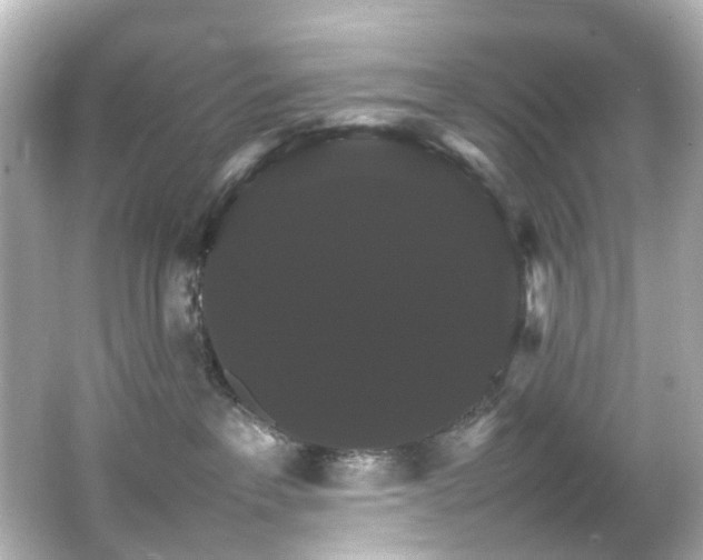 X0000066540237200603201434