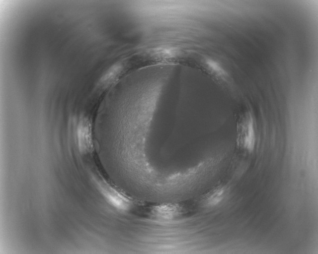 X0000066540238200603201434