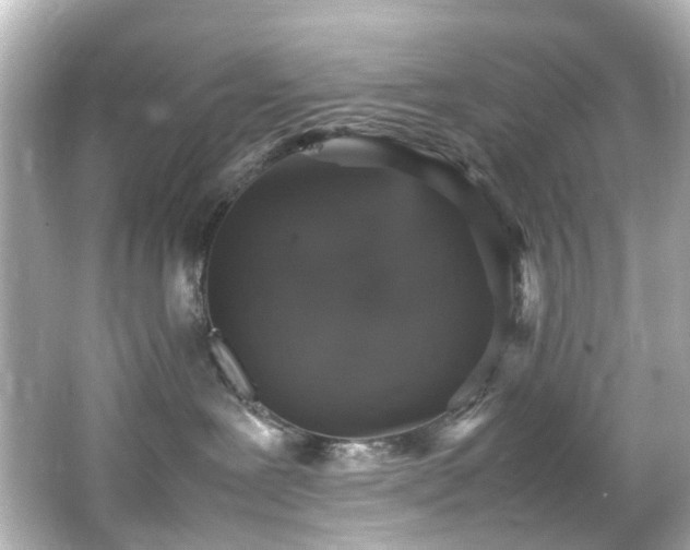 X0000066540239200603201434