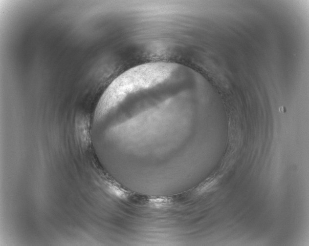 X0000066540240200603201434