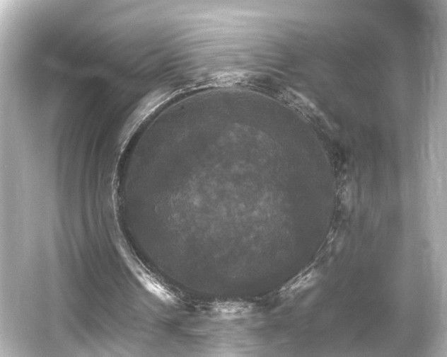 X0000066540242200603201433