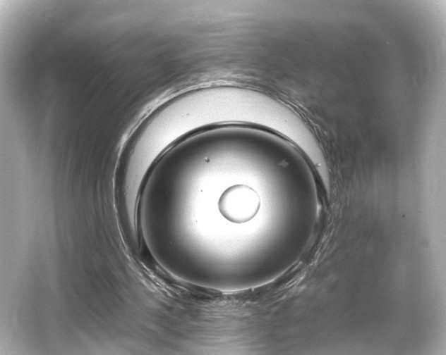 X0000066540244200603201433