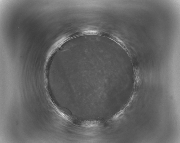 X0000066540245200603201433