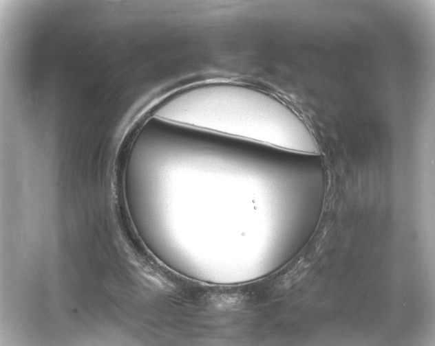 X0000066540247200603201433