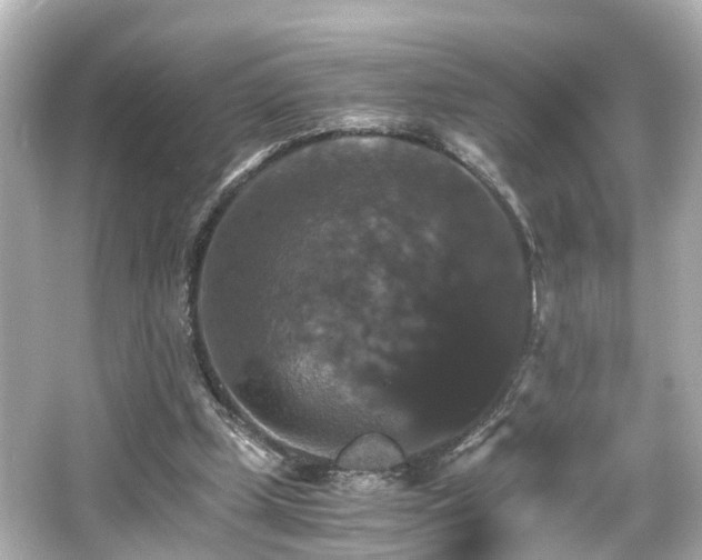 X0000066540249200603201433