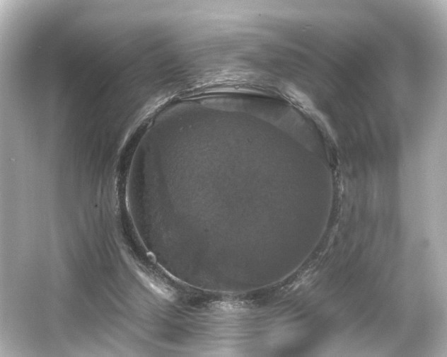 X0000066540250200603201433