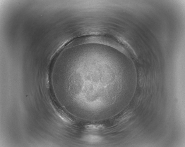 X0000066540251200603201433