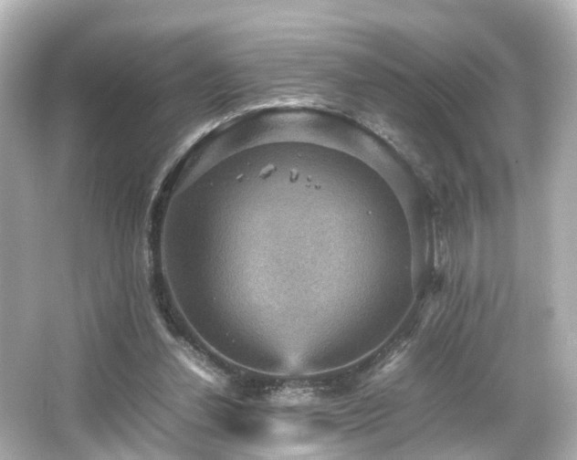 X0000066540252200603201433