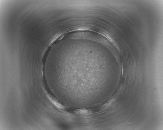 X0000066540253200603201433