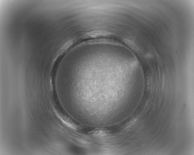 X0000066540254200603201433