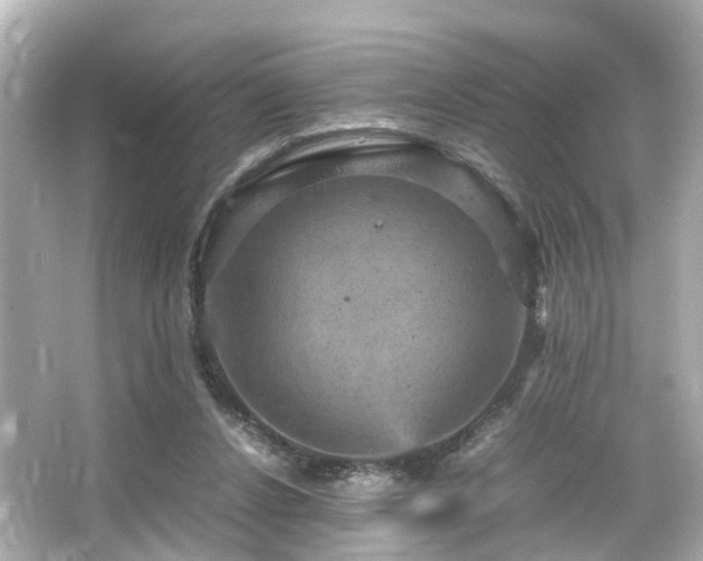 X0000066540256200603201433