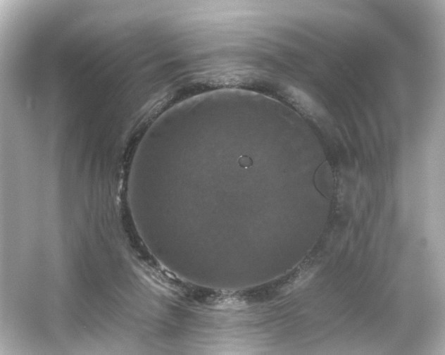 X0000066540258200603201433