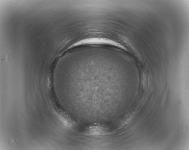 X0000066540259200603201433