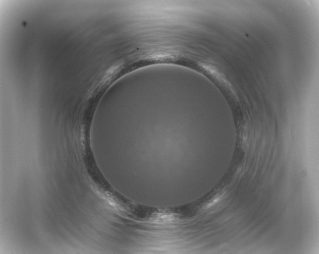 X0000066540260200603201433