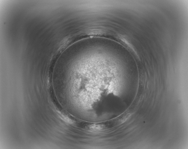 X0000066540261200603201433