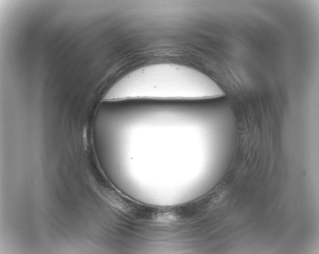 X0000066540262200603201433