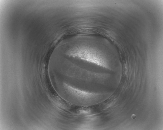 X0000066540263200603201433