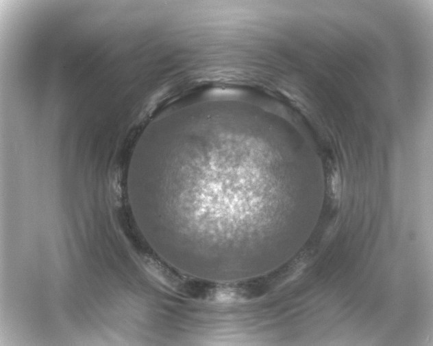 X0000066540264200603201433