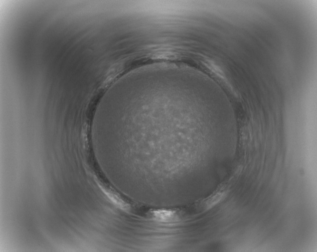 X0000066540265200603201433