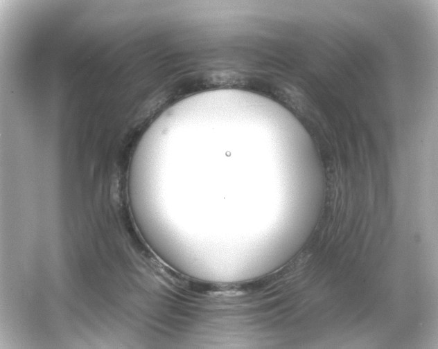 X0000066540266200603201433