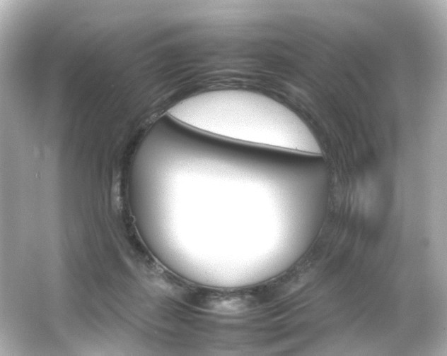 X0000066540267200603201433