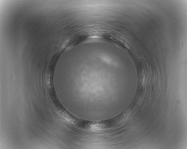 X0000066540268200603201433