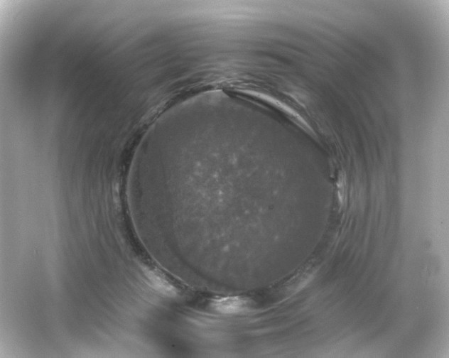 X0000066540269200603201433