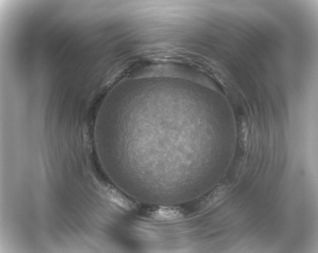 X0000066540270200603201433