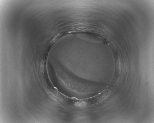 X0000066540271200603201433