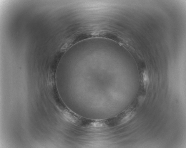 X0000066540272200603201433