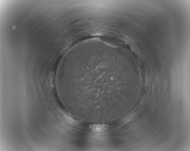 X0000066540273200603201433