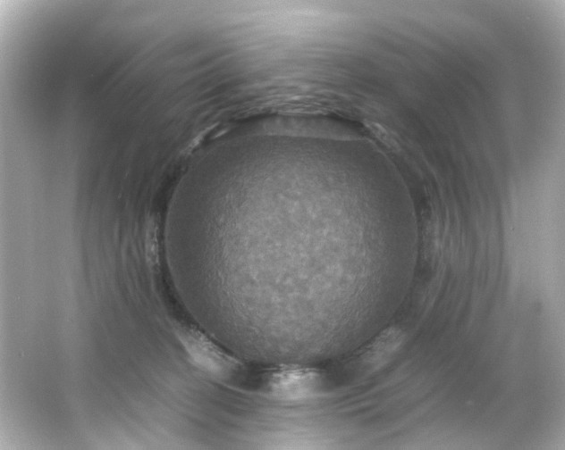 X0000066540274200603201433