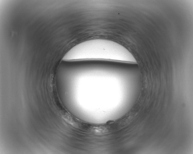 X0000066540275200603201433