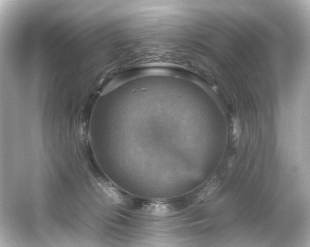 X0000066540276200603201433