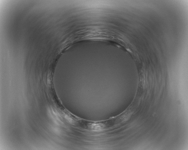 X0000066540277200603201433