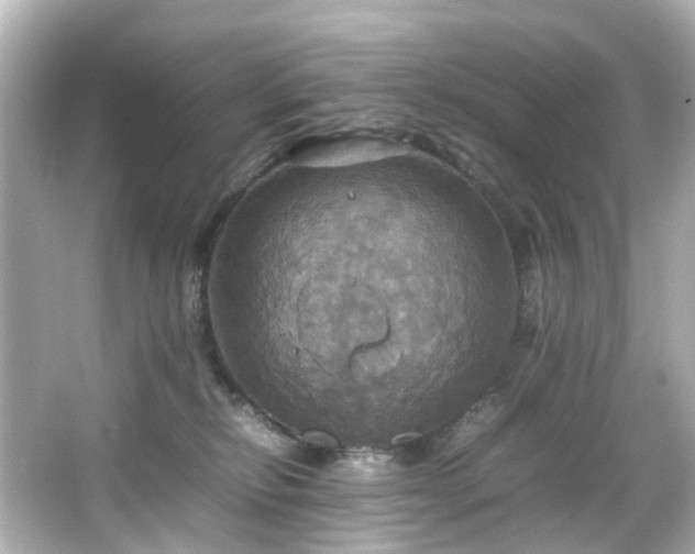 X0000066540278200603201433