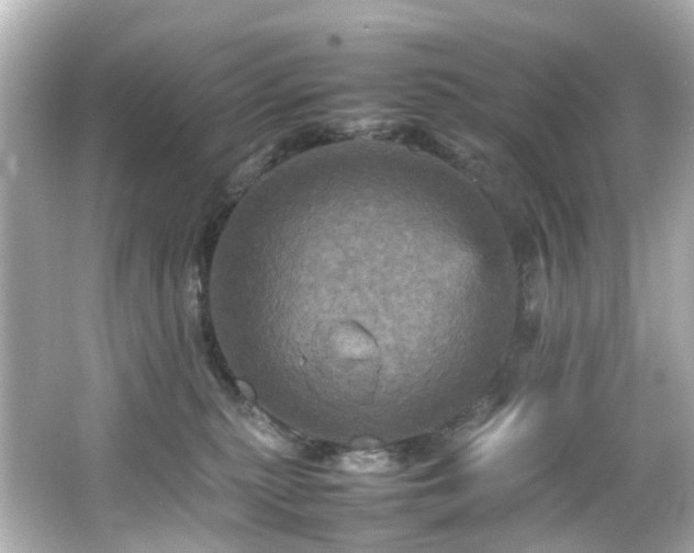 X0000066540279200603201433