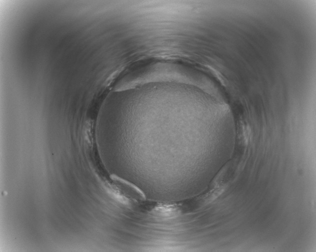 X0000066540280200603201433