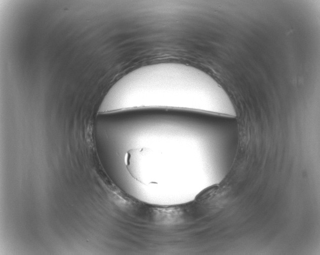 X0000066540281200603201434