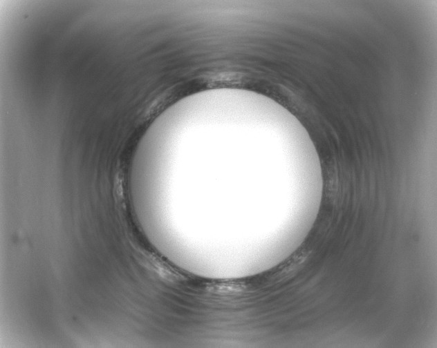 X0000066540282200603201434