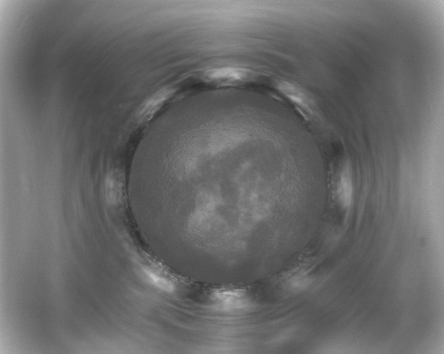 X0000066540283200603201434