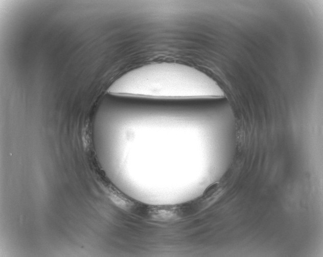 X0000066540285200603201434