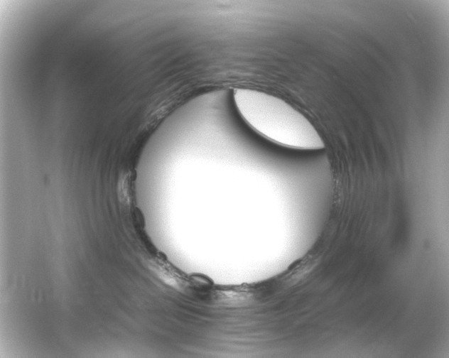 X0000066540286200603201434