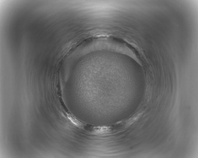 X0000066540288200603201434