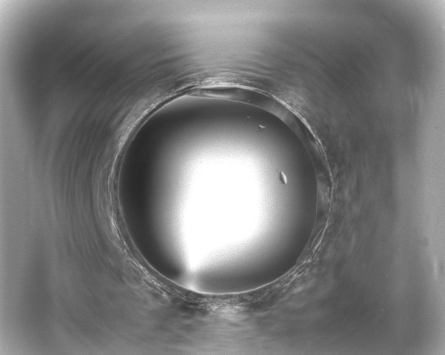 X0000066540289200603201433